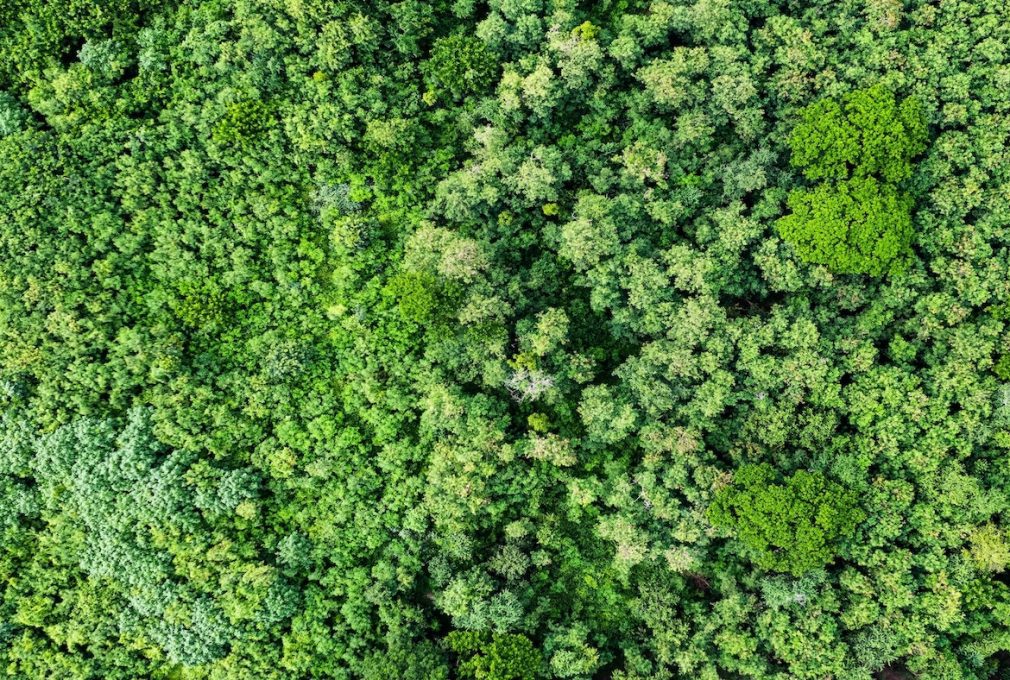 AI decarbonisation