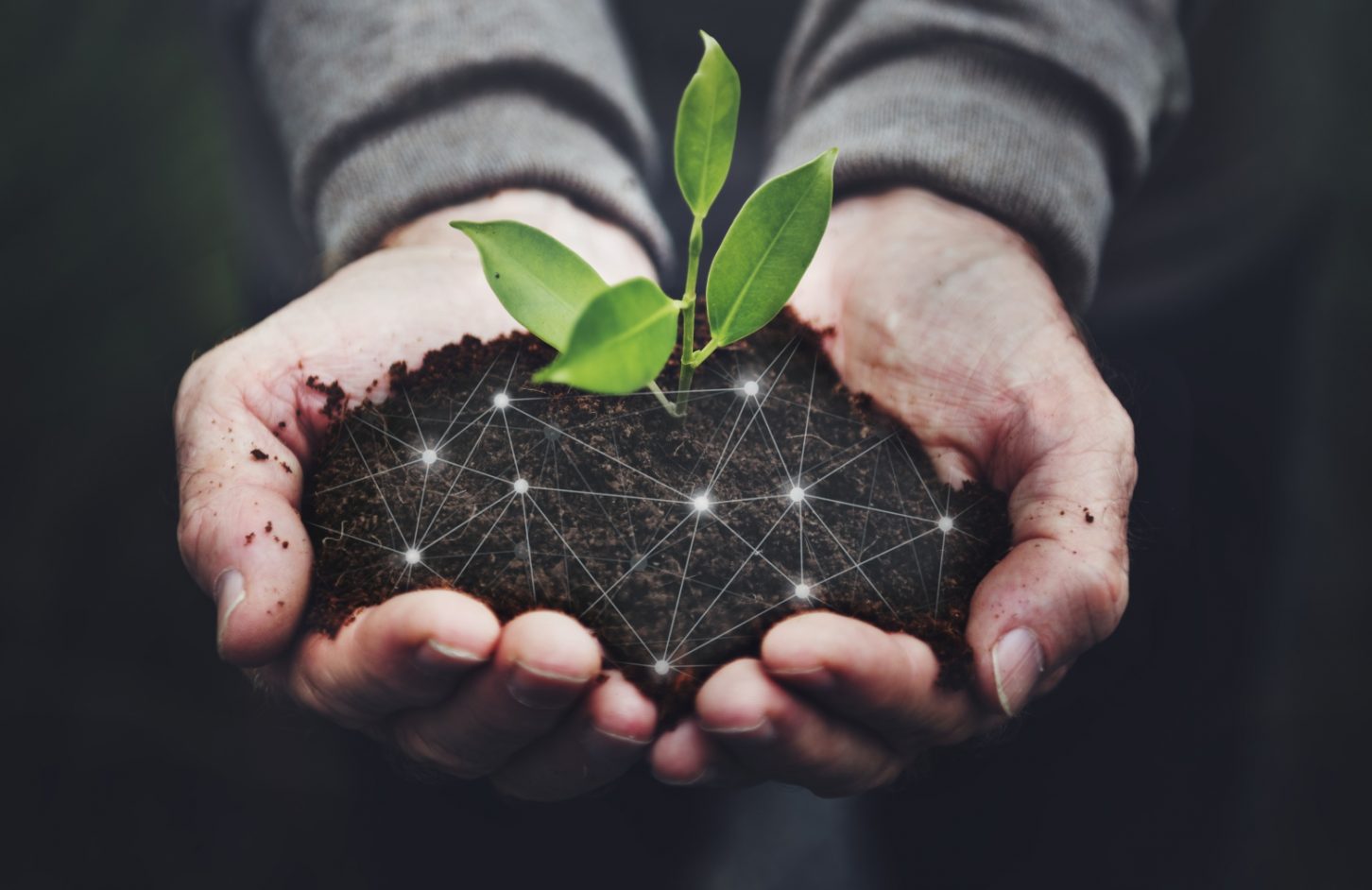 angel investor impact