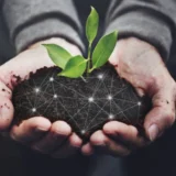 angel investor impact