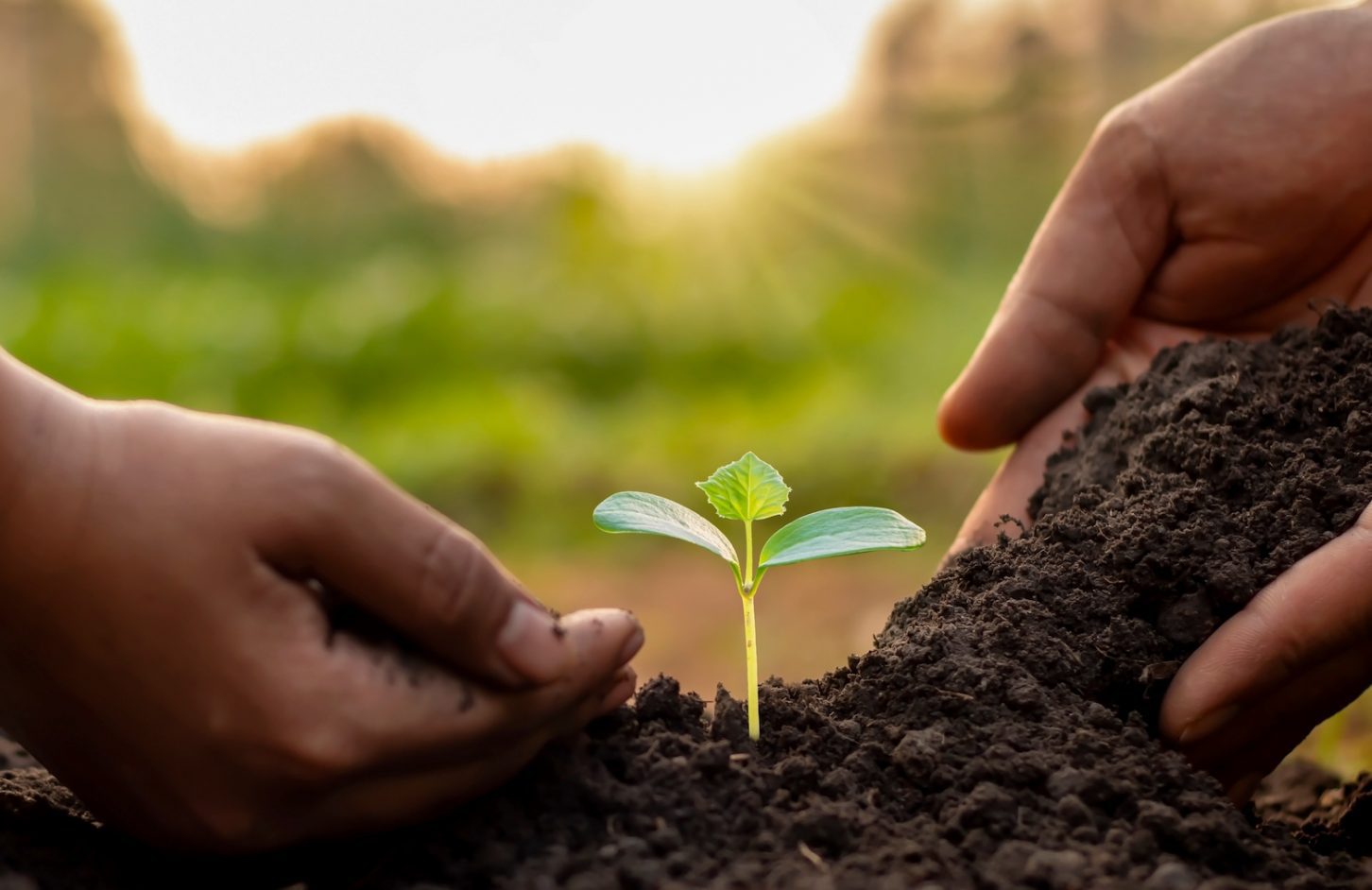 Funding climate tech