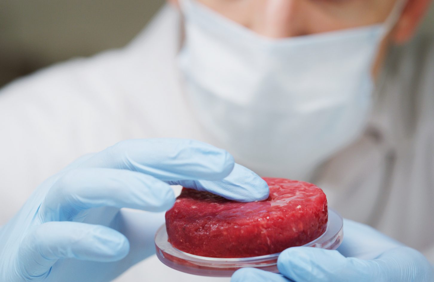 lab-grown meat project