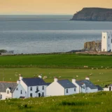 Innovation partnerships