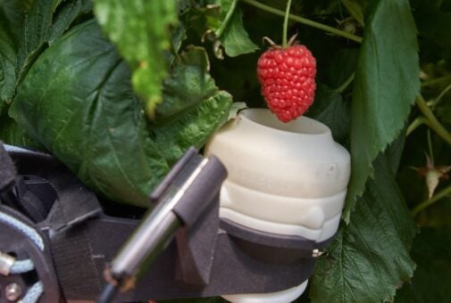 Berry-picking robot from Fieldwork Robotics