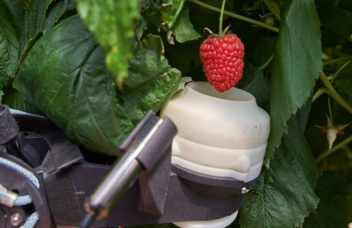 Berry-picking robot from Fieldwork Robotics