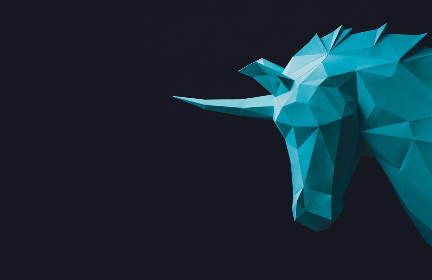 Unicorn Project tech budget