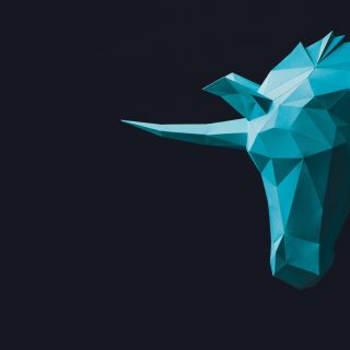 Unicorn Project tech budget