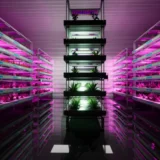 Vertical farming