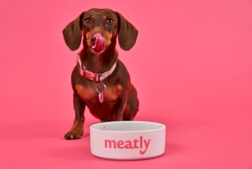 Meatly lab-grown pet food