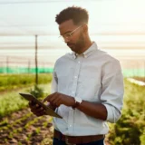 Green tech jobs and skills