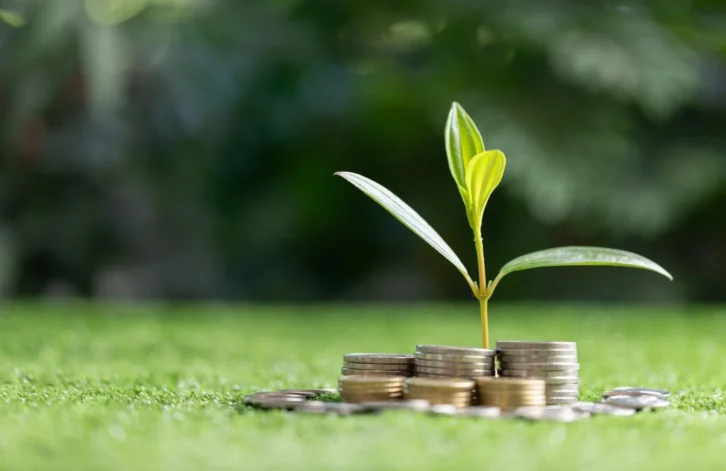 Private capital
