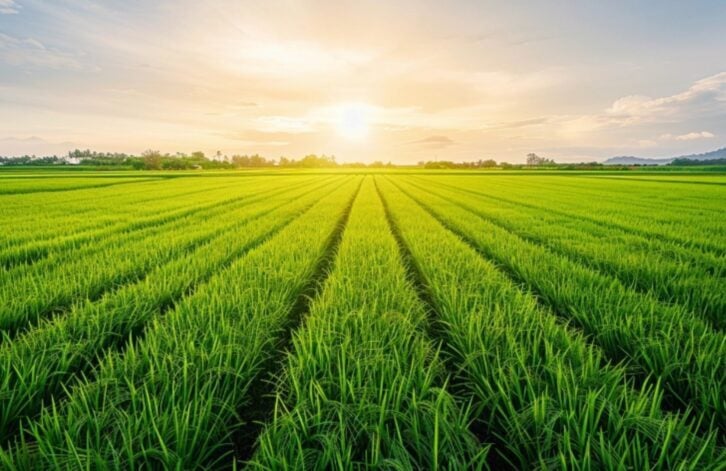 UK agtech