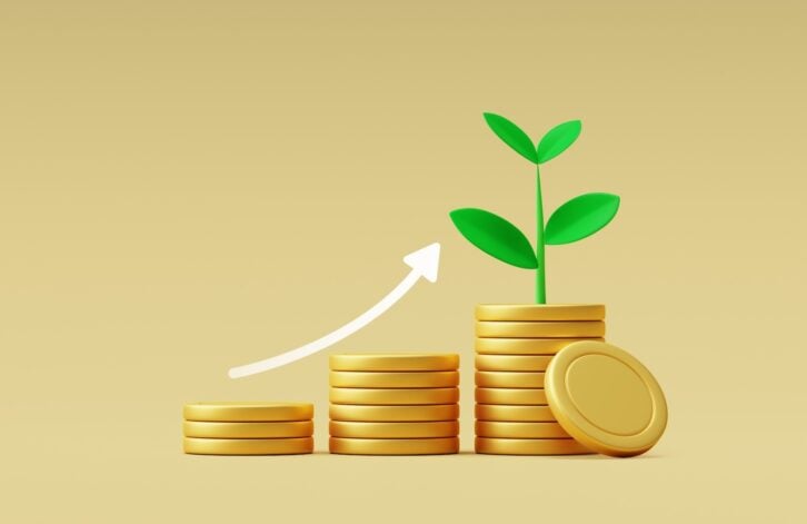 capital partners