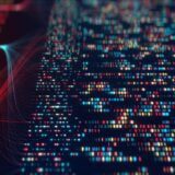 qualitative analytics WholeSum