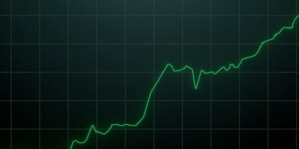 Tech incorporations record