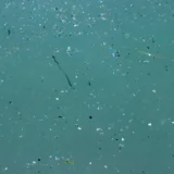 Naturbeads microplastics