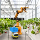 techUK robotics report