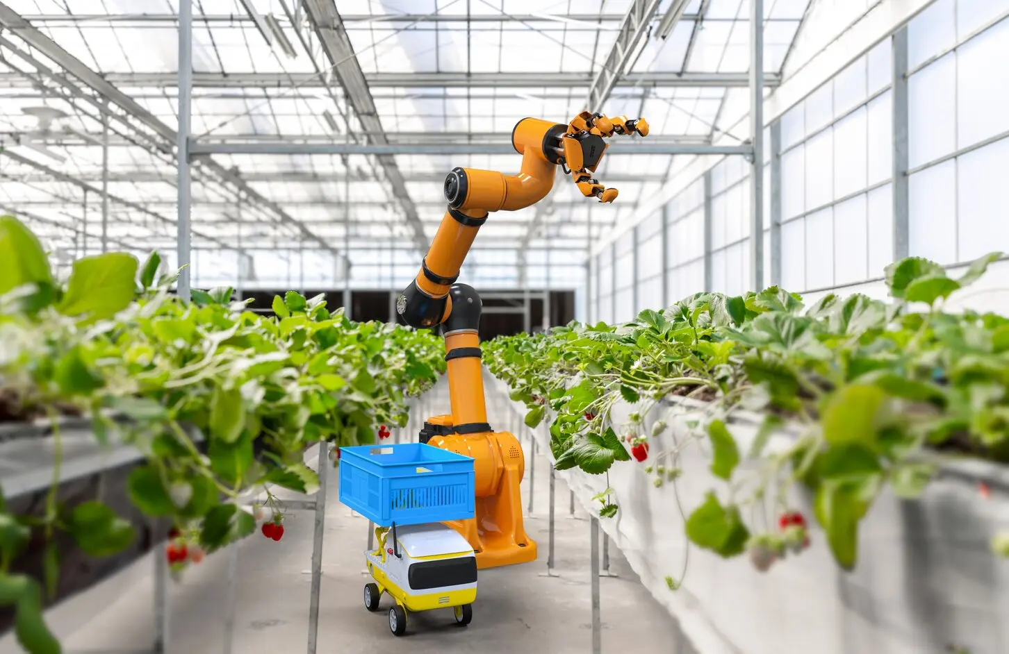 The UK has ‘significant opportunity’ to lead next wave of robotics innovation