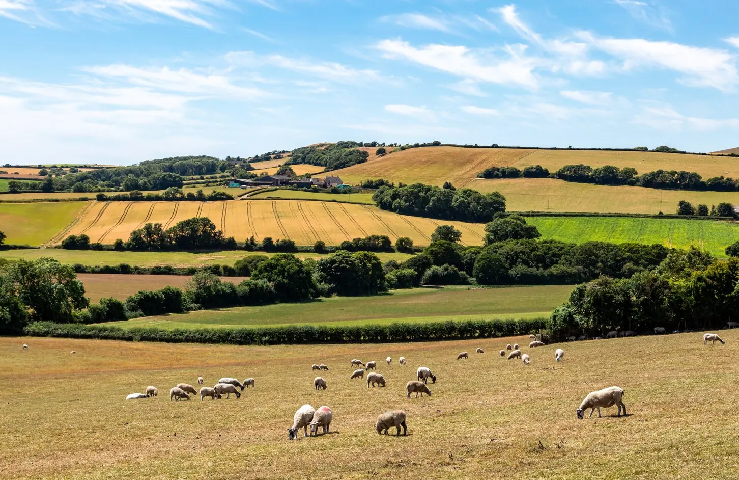New £50m fund to bring AI and robotics to UK farms