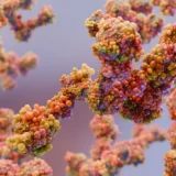 Imperagen raises £5m