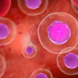 Laverock Therapeutics grants