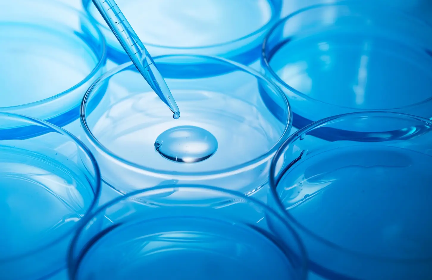 Thalia Therapeutics acquires US firm backed by fundraise