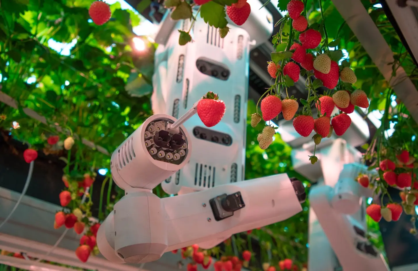 Cambridge AI robotics group Dogtooth scores £14m investment